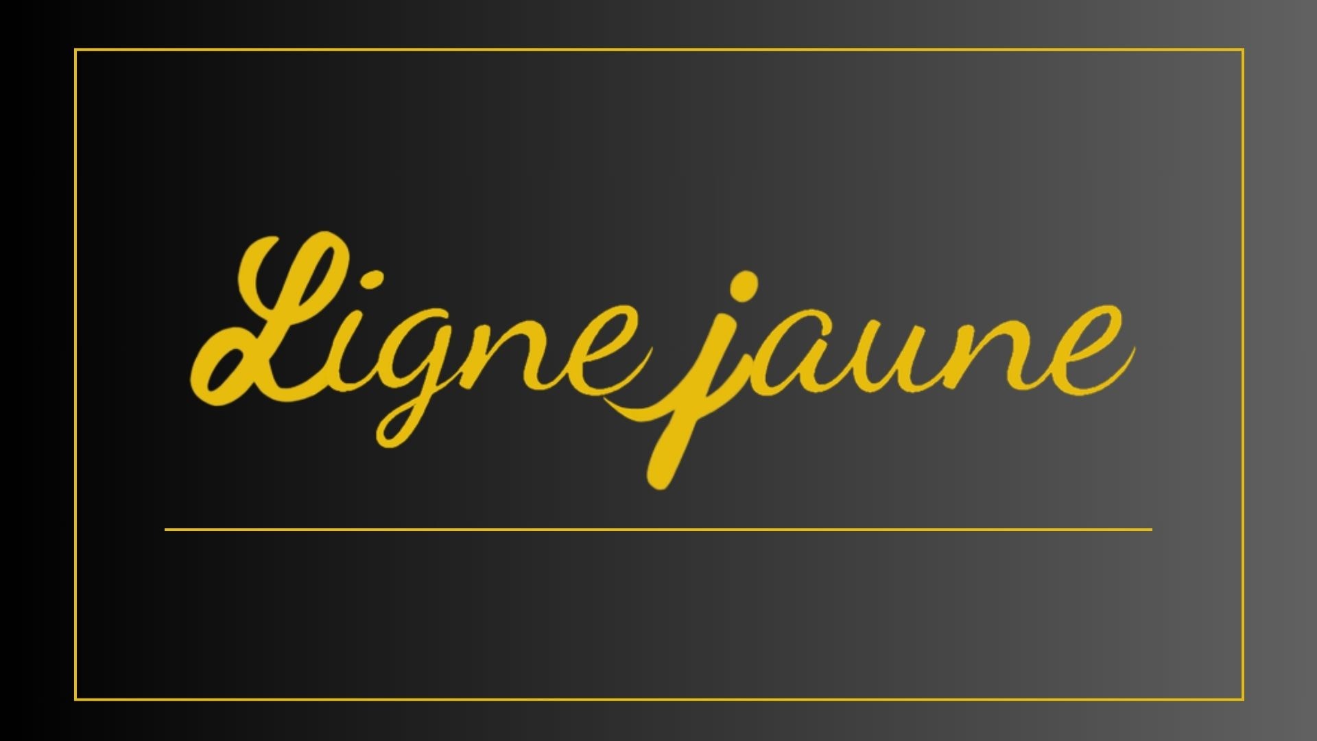 Ligne Jaune fête ses 1 An à la Galerie de Massais